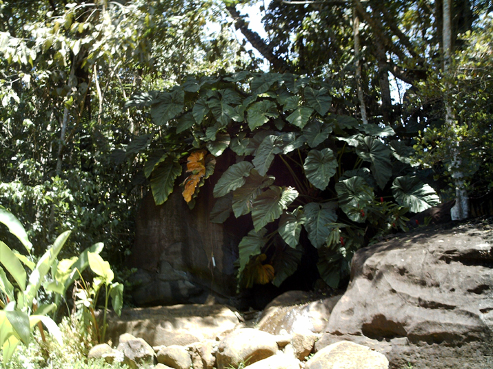28 - Jardin des eaux 010.jpg